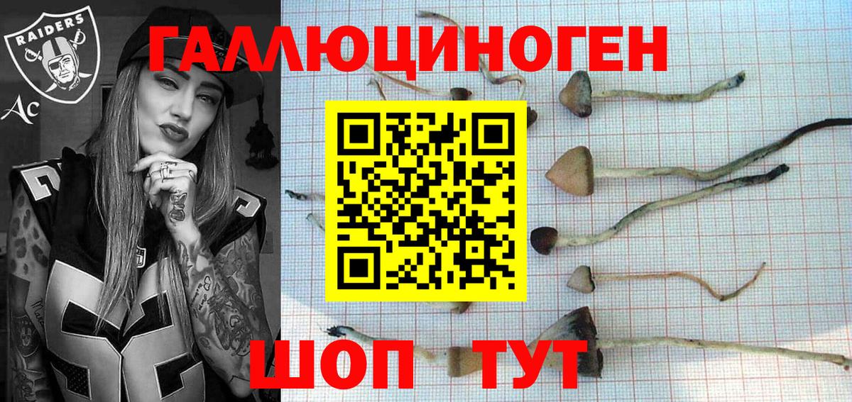 наркошоп  Вход с VPN  Северобайкальск  Галлюциногенные грибы Magic Shrooms 